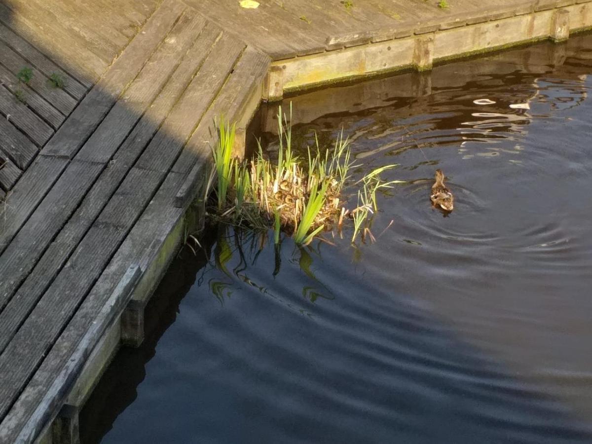 赞丹Huisje Aan Het Water, Omgeving Amsterdam别墅 外观 照片